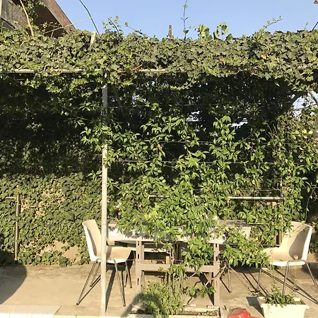 Fati 3* ドゥラス